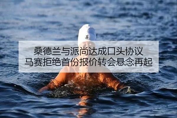 桑德兰与派尚达成口头协议 马赛拒绝首份报价转会悬念再起